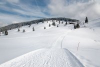 Wanderweg zur Krunkelbachhütte von Bernau Hof.