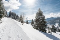 Winterliche Landschaft in Bernau. Die Winterwanderwege sind von der Ferienwohnung gut zu erreichen.