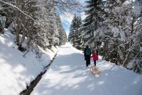 Winterlicher Wanderweg - die ideale Erholung für alt und jung.