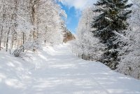 Wanderweg zur Krunkelbachhütte im Winter.