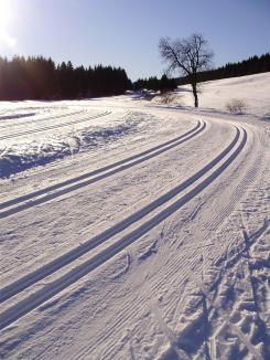 Langlaufloipe Bernau