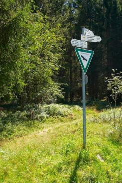 Wegweiser im Schwarzwald